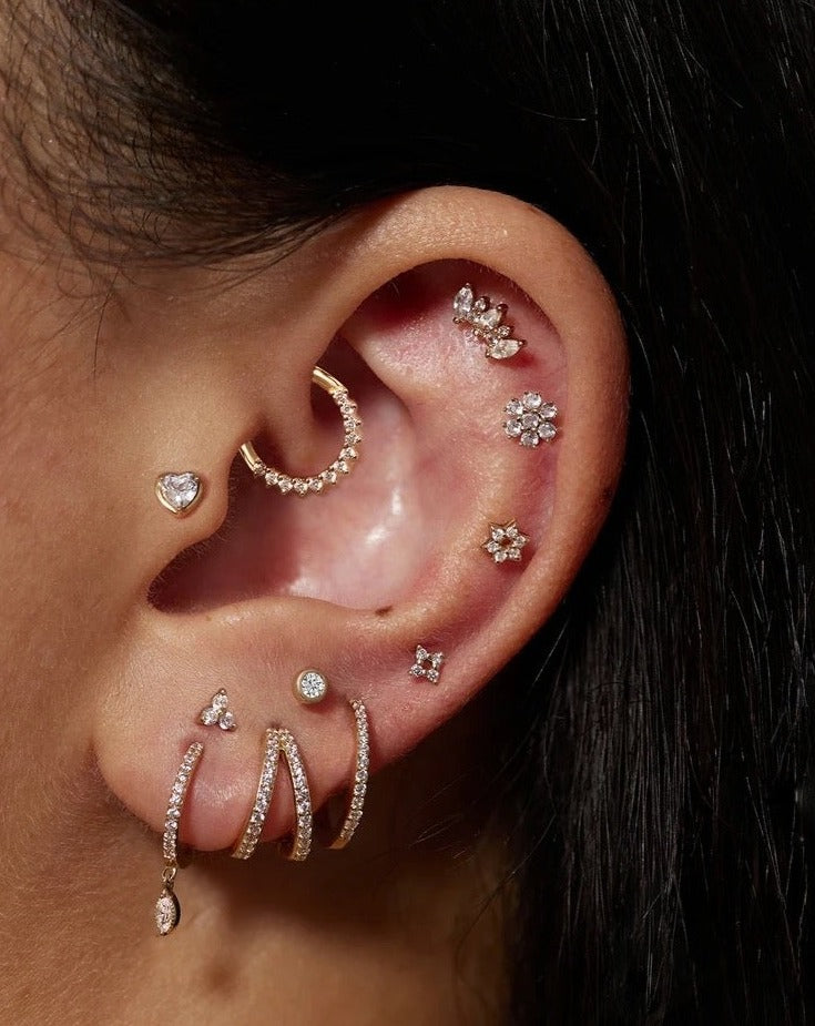 Marquise Arch Conch Stud piercing