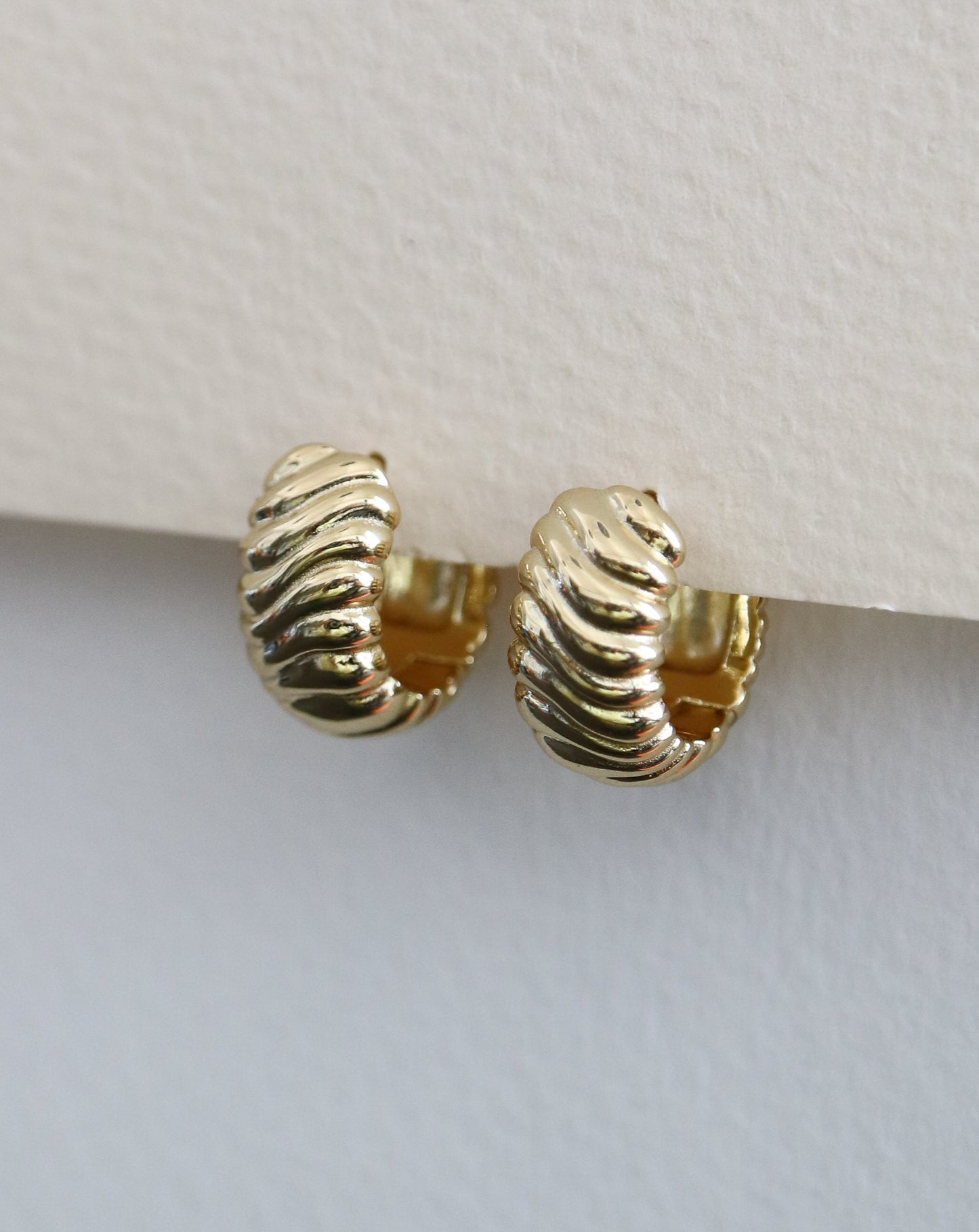 Golden Ridge Huggies Earrings Hoops
