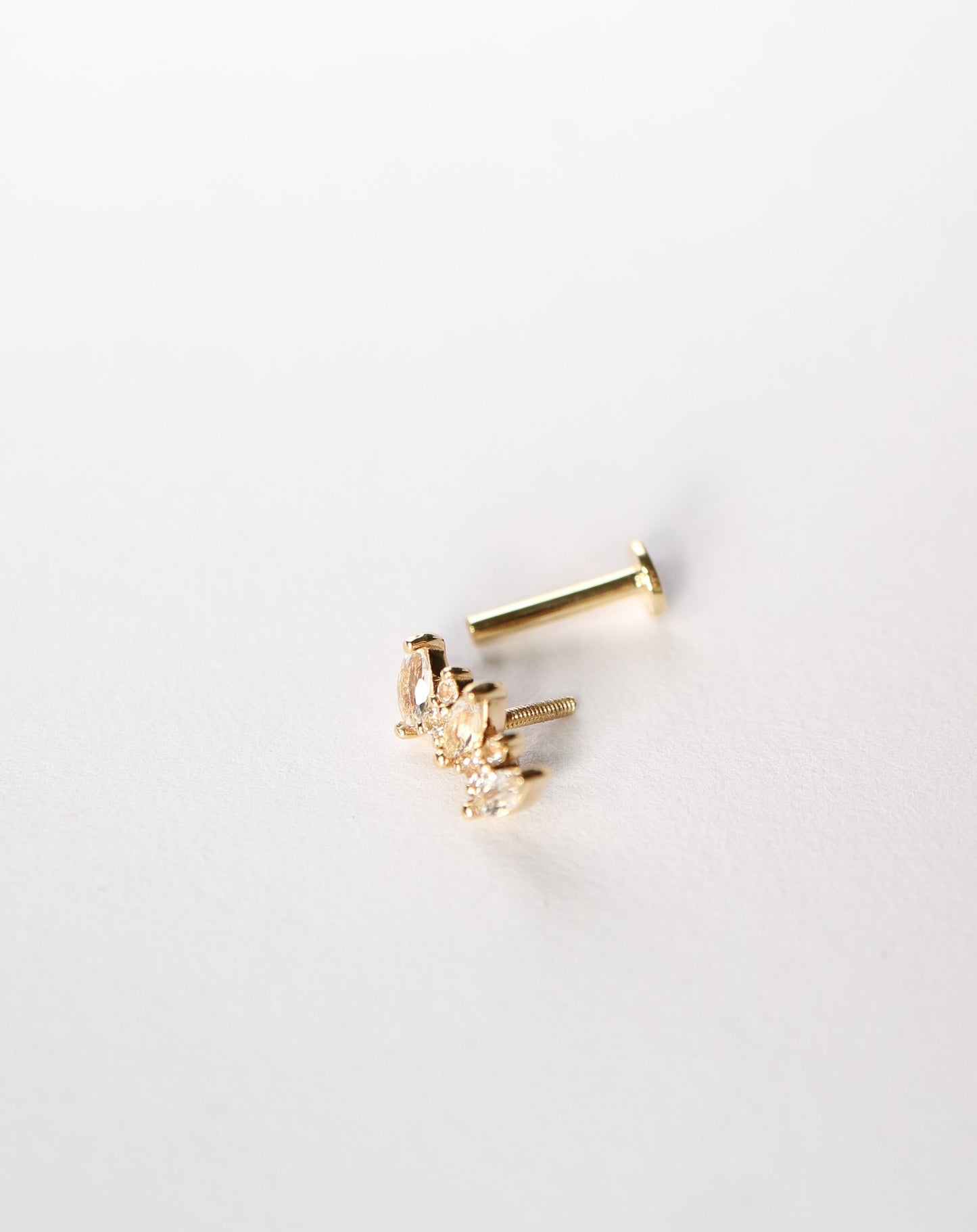 Marquise Arch Conch Stud piercing