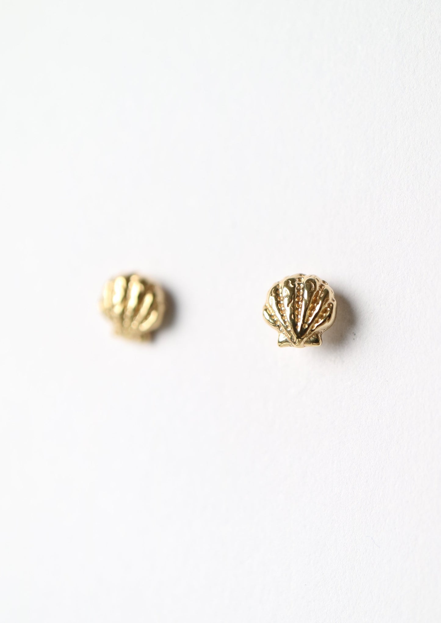 14kt Ode to the Seaside Clamshell Studs