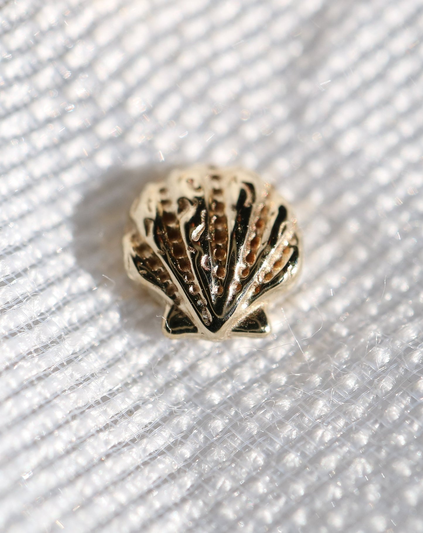 14kt gold Seashell Stud Earrings