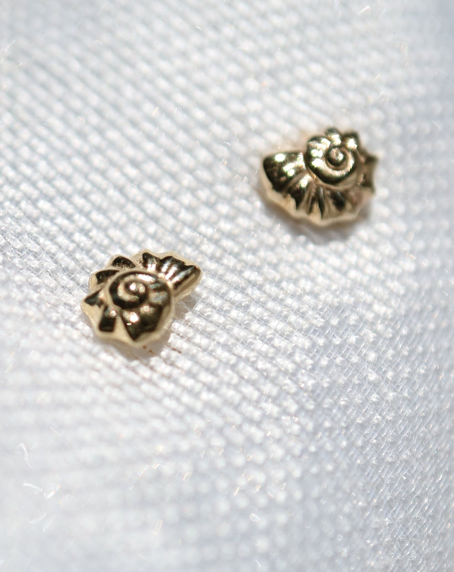 14kt gold Seashell Stud Earrings