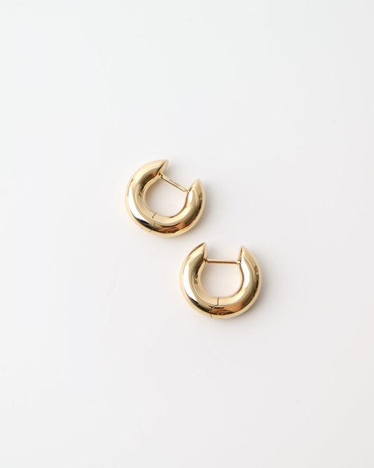 Pair of gold hoop earrings on a white background