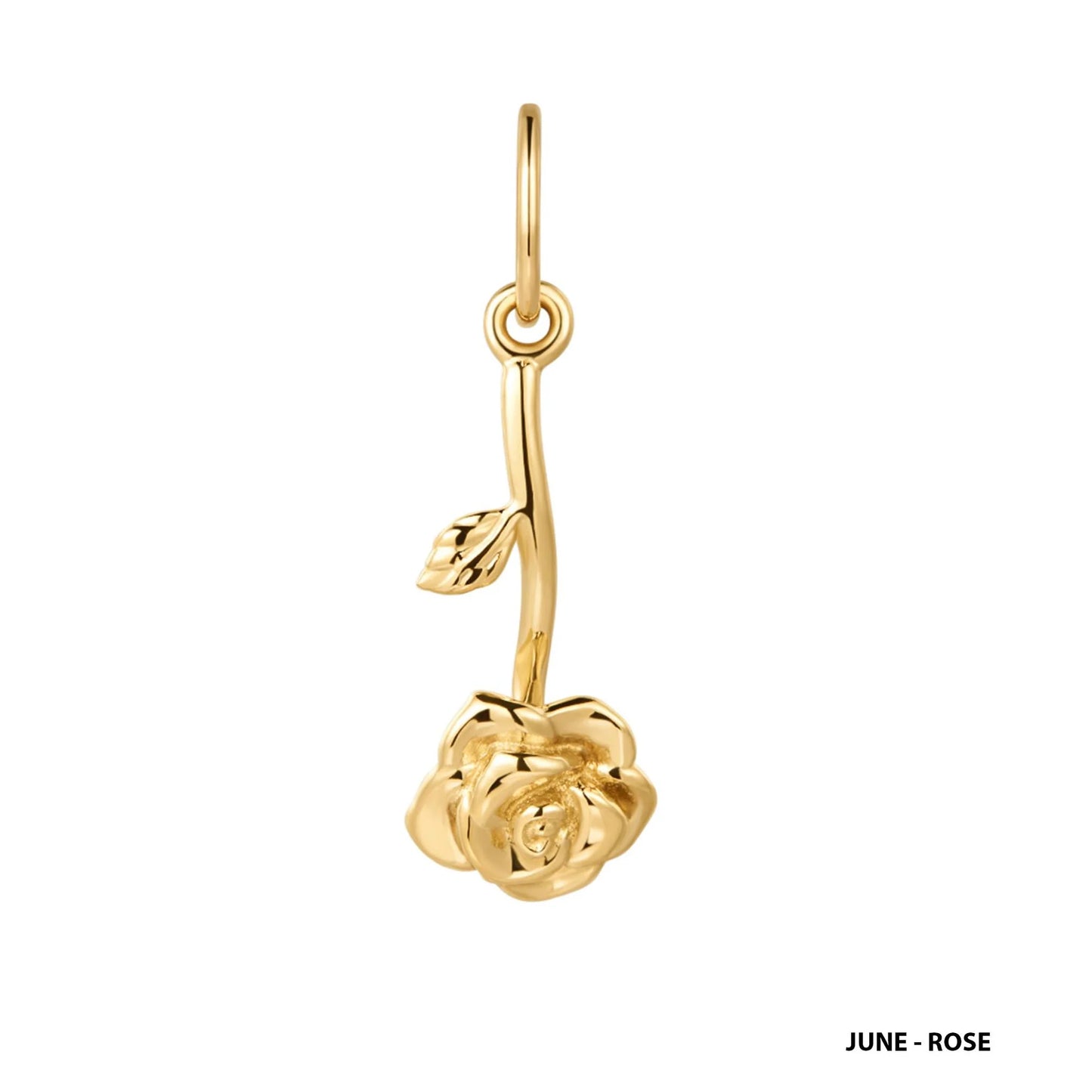 9kt Gold Birth Flower Charm