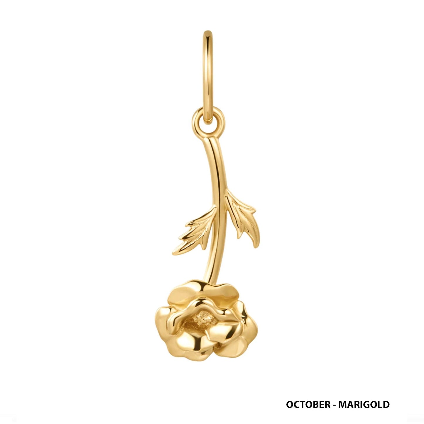 9kt Gold Birth Flower Charm