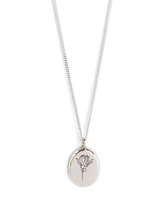 Oval Protea Necklace in silver, shown on white background