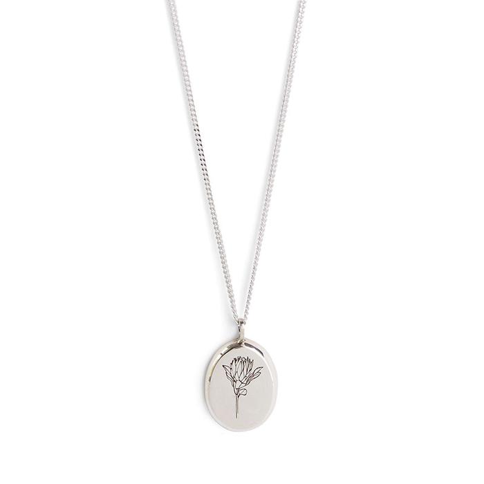 Oval Protea Necklace in silver, shown on white background