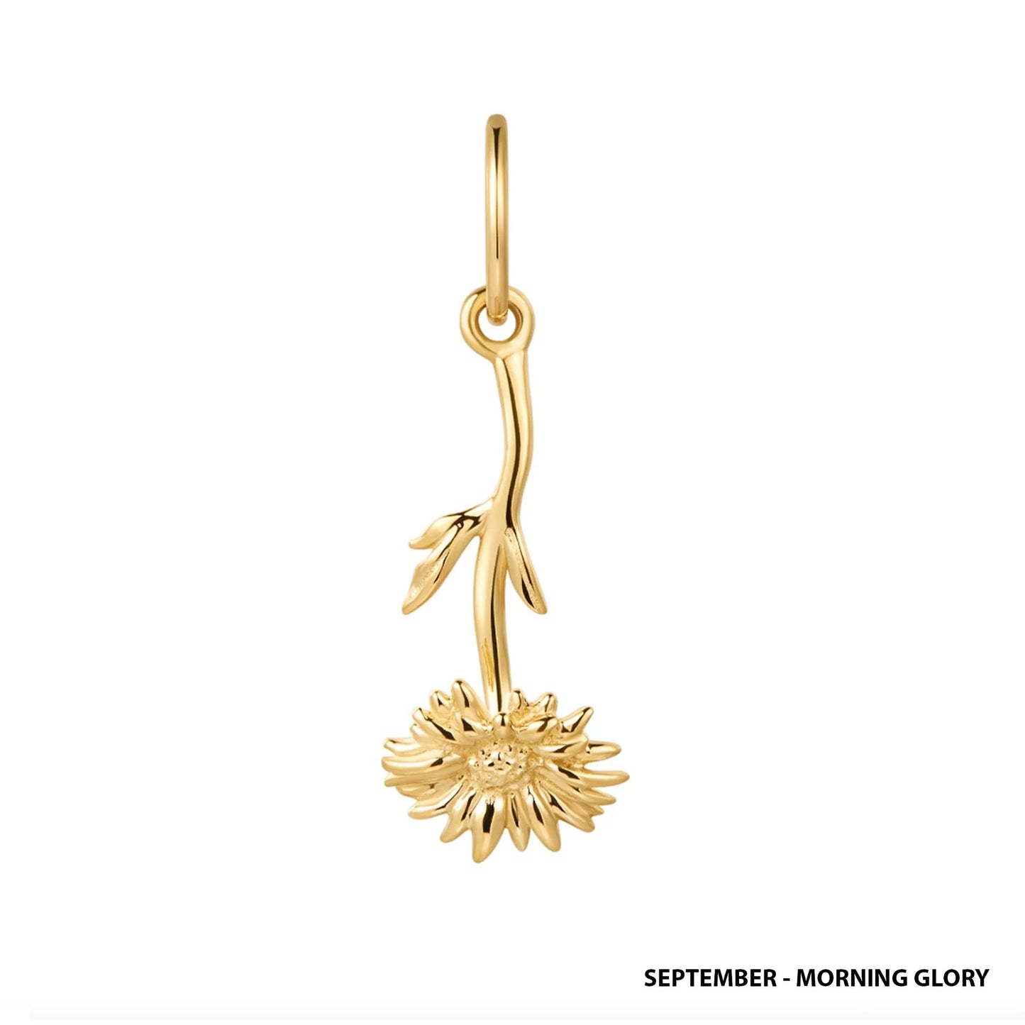 9kt Gold Birth Flower Charm