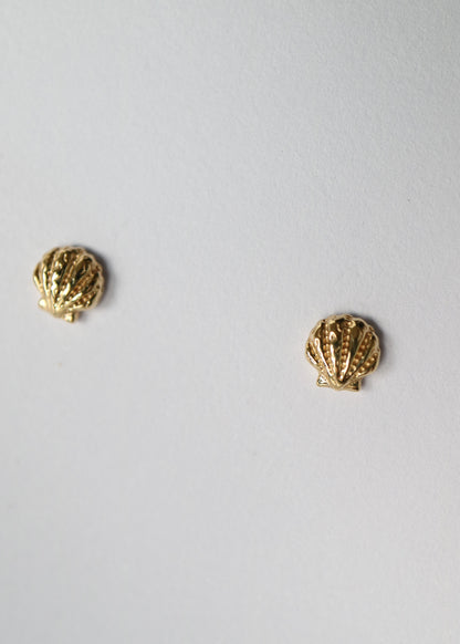 14kt Ode to the Seaside Clamshell Studs
