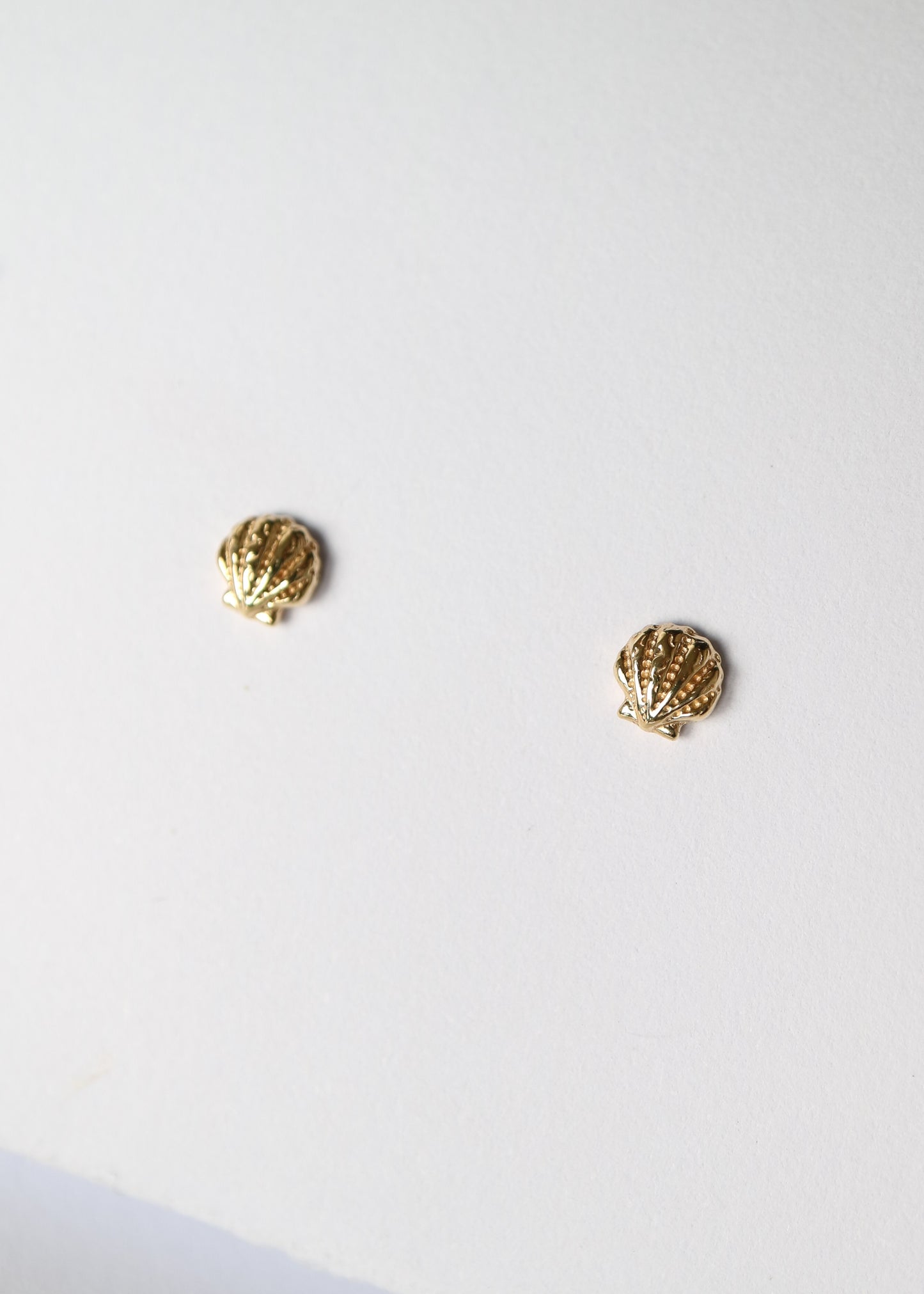 14kt Ode to the Seaside Clamshell Studs