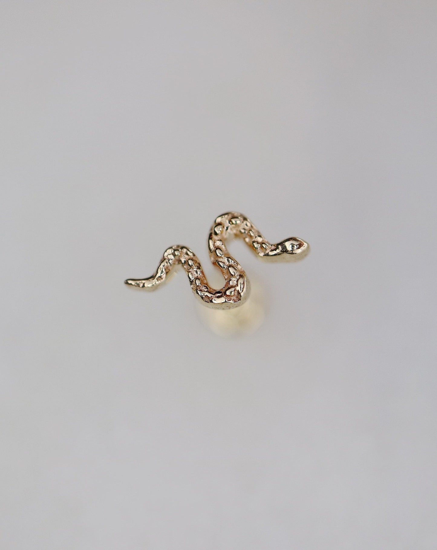 14kt gold Serpent Snake Conch Stud by Collective and Co Jewellery