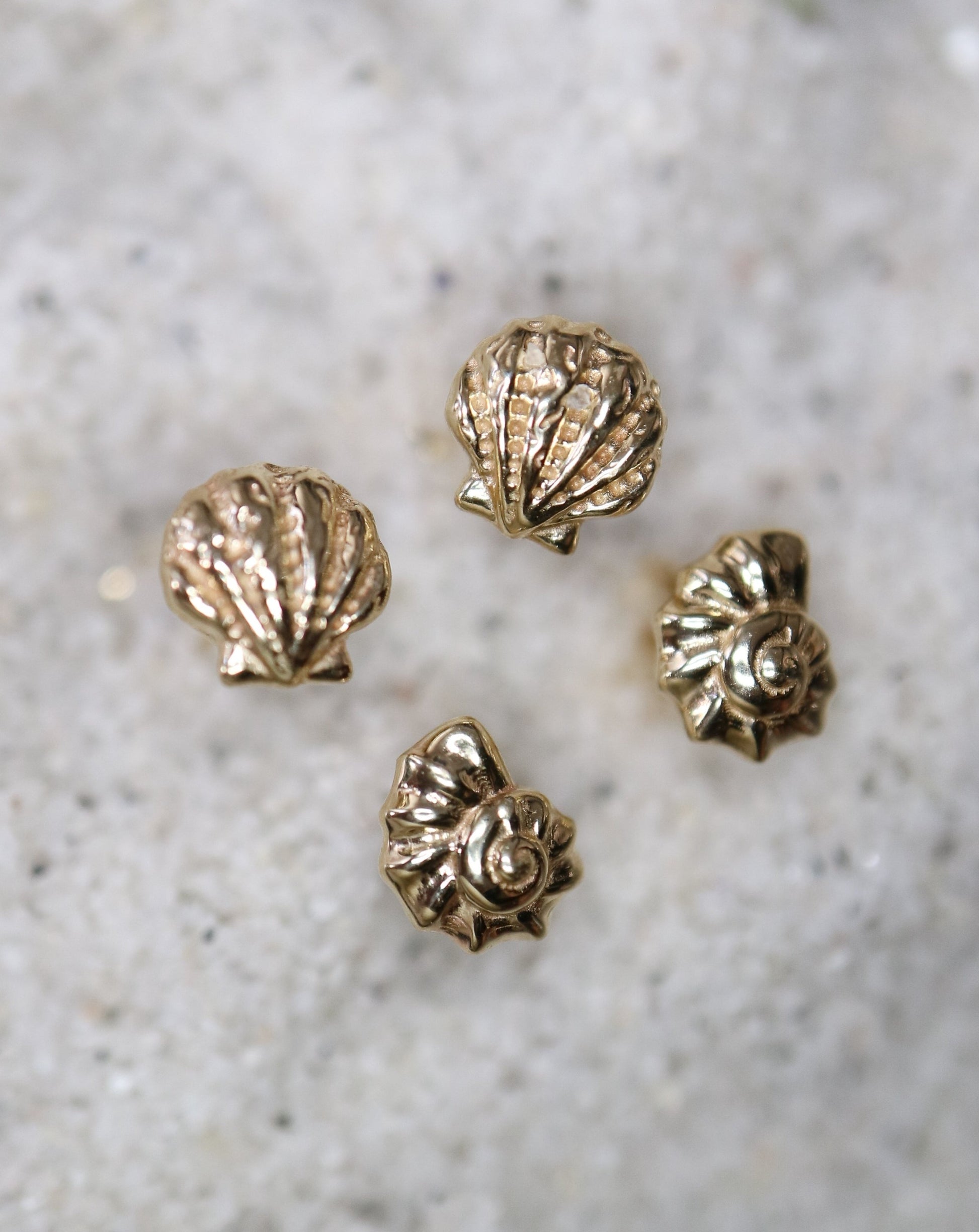 14ct gold Seashell Stud Earrings