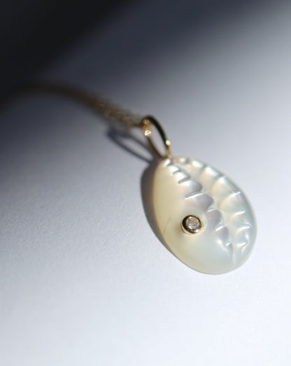 9kt gold Cowrie Shell Necklace