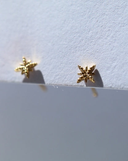 9kt gold star studs