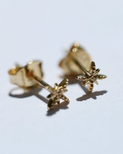 9ct gold star earring studs