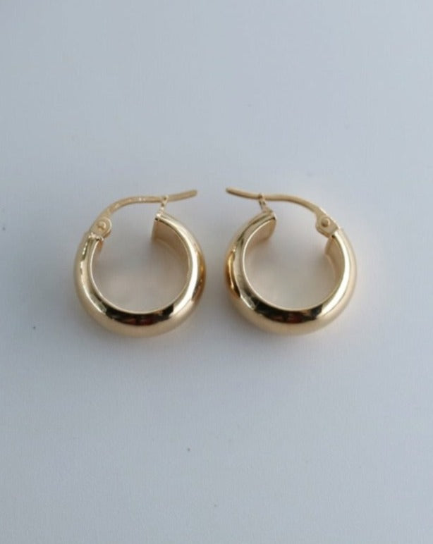 Tayla 9kt gold hoop earrings on white